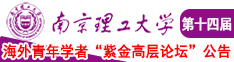 日批日逼婷婷南京理工大学第十四届海外青年学者紫金论坛诚邀海内外英才！